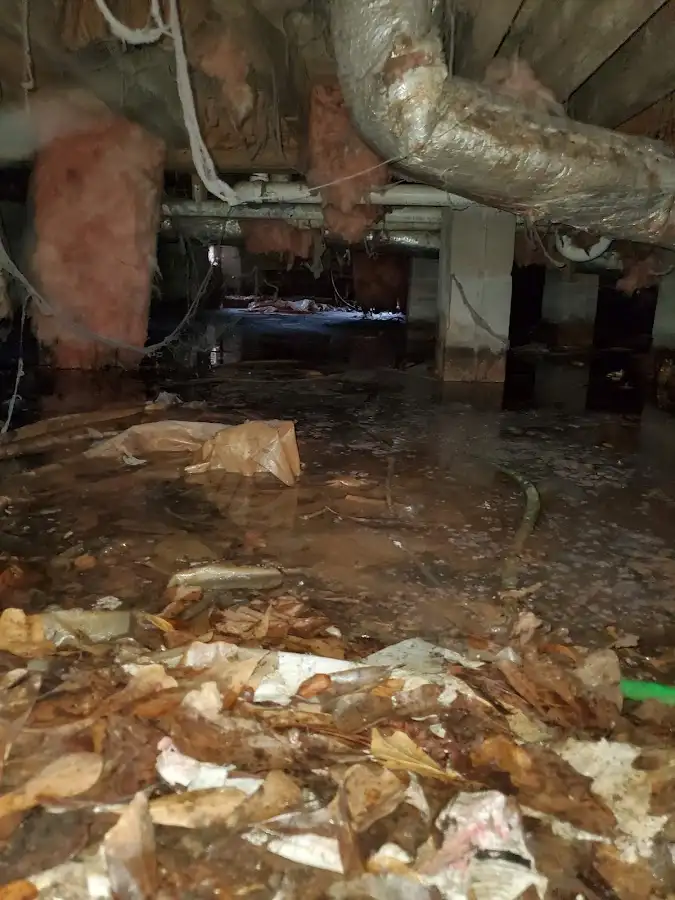 Crawl space flood assessment for Commercial Water Damage Restoration in Kinston