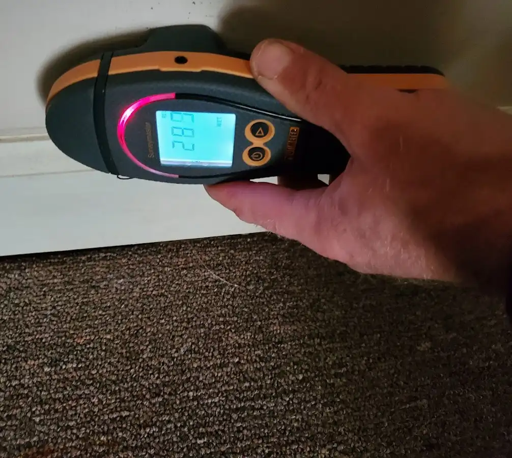Moisture detection at baseboard during Sewage Cleanup & Sanitation in Kinston